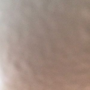 Meet your Posher, Frank